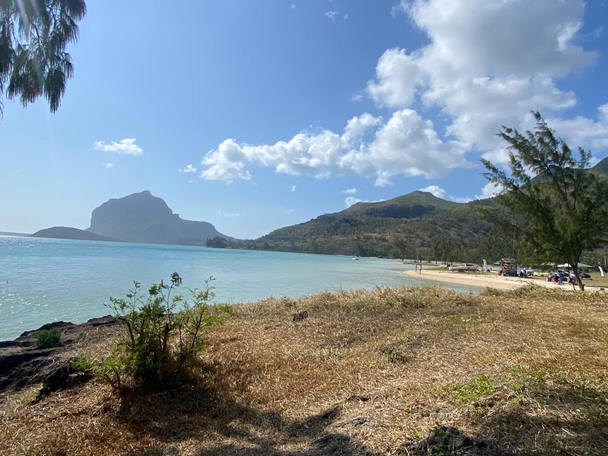 Appartamento Lakaz Tropical Ruisseau Creole Esterno foto