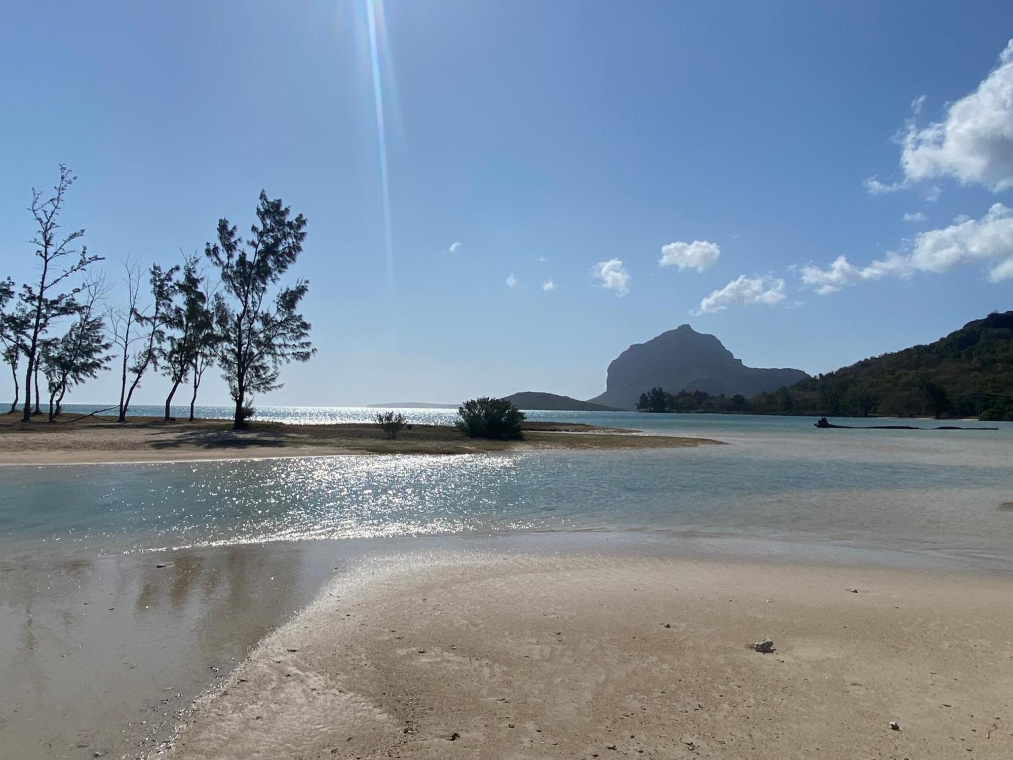 Appartamento Lakaz Tropical Ruisseau Creole Esterno foto